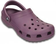 Classic Lilac
