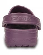 Classic Lilac